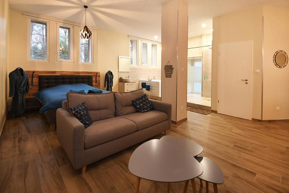 Appartement Loft Detente Straatsburg