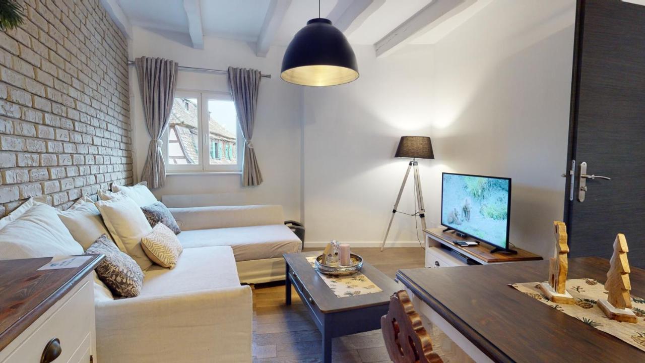 Le Nid De L'ill, Magnifique Duplex Cosy Petite France * Straßburg