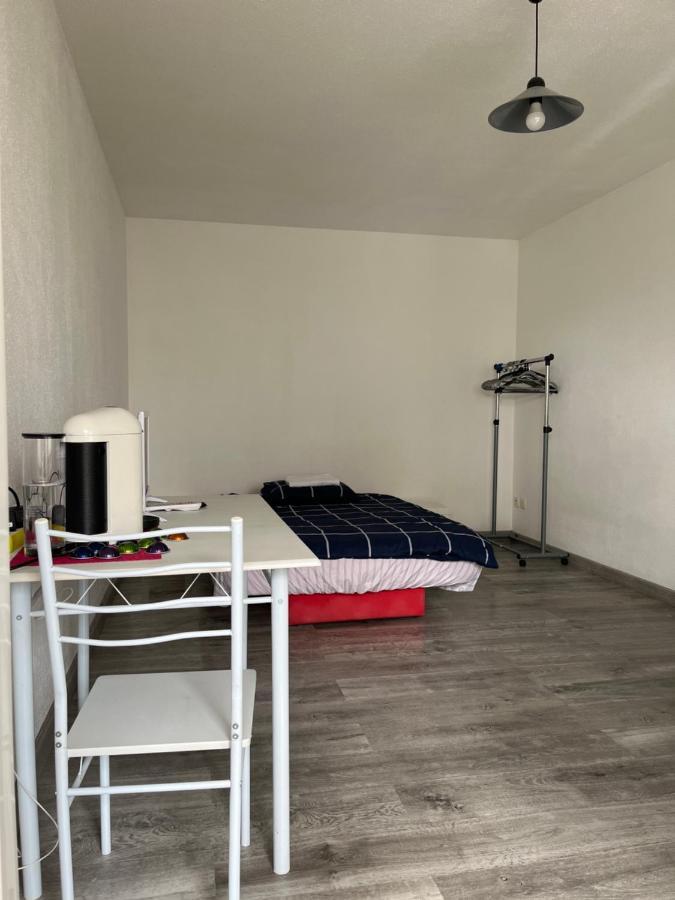 Apartment Type 1 Piece Proche Zenith *