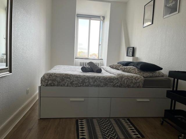 Apartment Cosy Rent Orangerie Tv Wifi Cathedrale