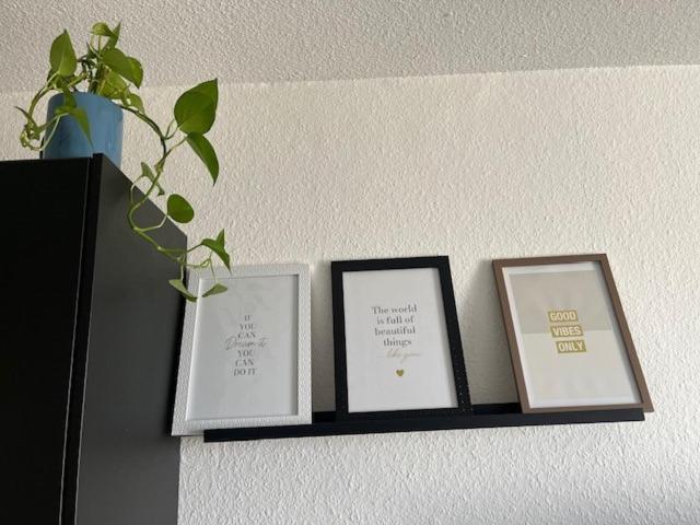 Cosy Rent Orangerie Tv Wifi Cathedrale Apartment