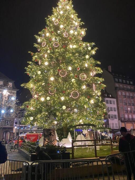 Centre Straatsburg