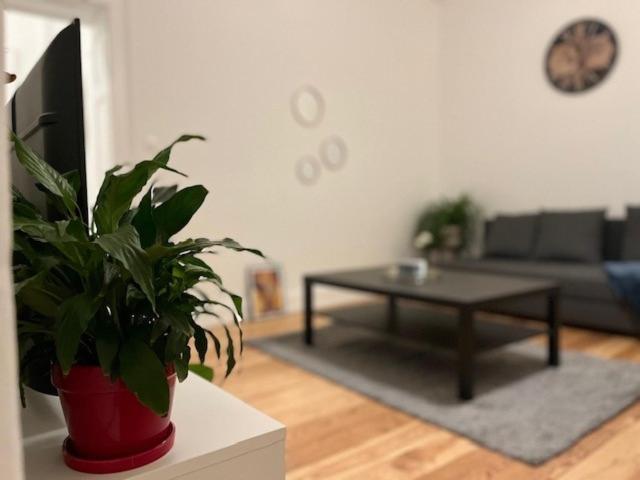 Cosy Rent-strasbourg Gare 1-wifi *