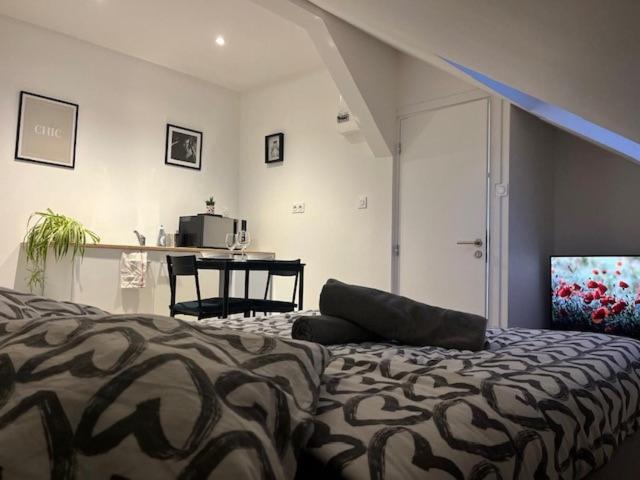 Cosy Rent Studio 1 -gare - Tv - Wifi Appartement Straatsburg