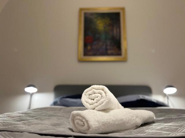 Appartement Cosyrent-strasbourg Gare 2-wi-fi Straatsburg