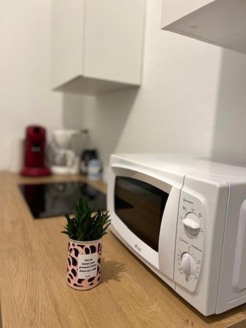 Cosyrent-strasbourg Gare 2-wi-fi Appartement Straatsburg