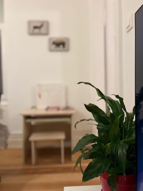 Appartement Cosyrent-strasbourg Gare 2-wi-fi Straatsburg
