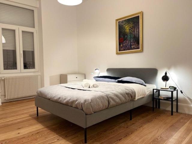 Apartment Cosy Rent-strasbourg Gare 1-wifi Strasbourg