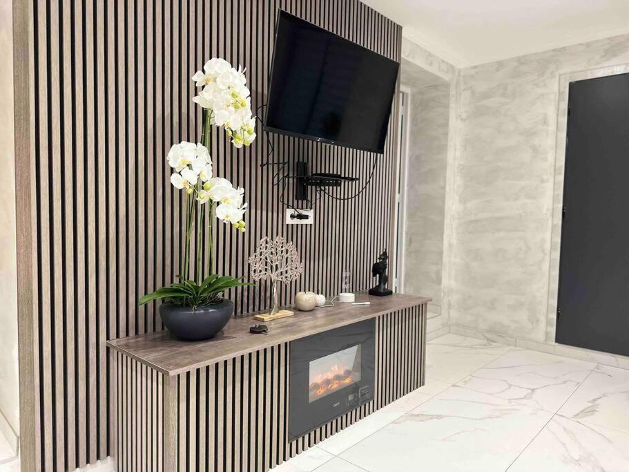 Spacieuse Sauna Billiard Netflix * Strasbourg