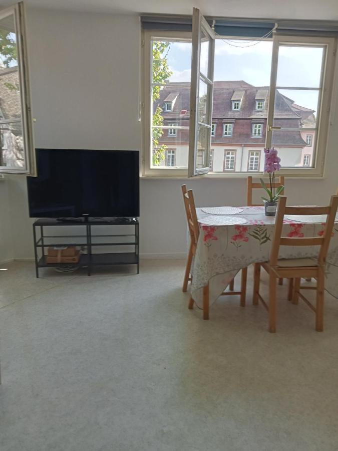 Appartement Au Coeur De La Petite France Strasbourg