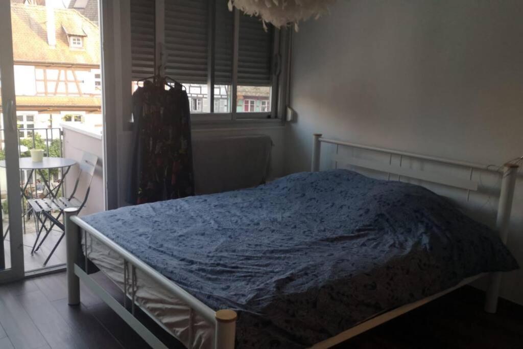 Apartment Magnifique Strasbourg