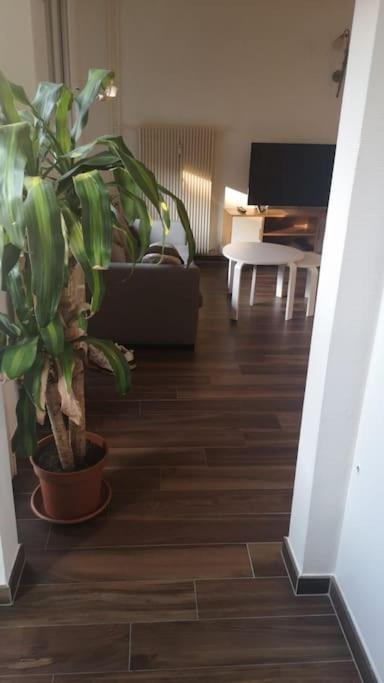 Apartment Magnifique