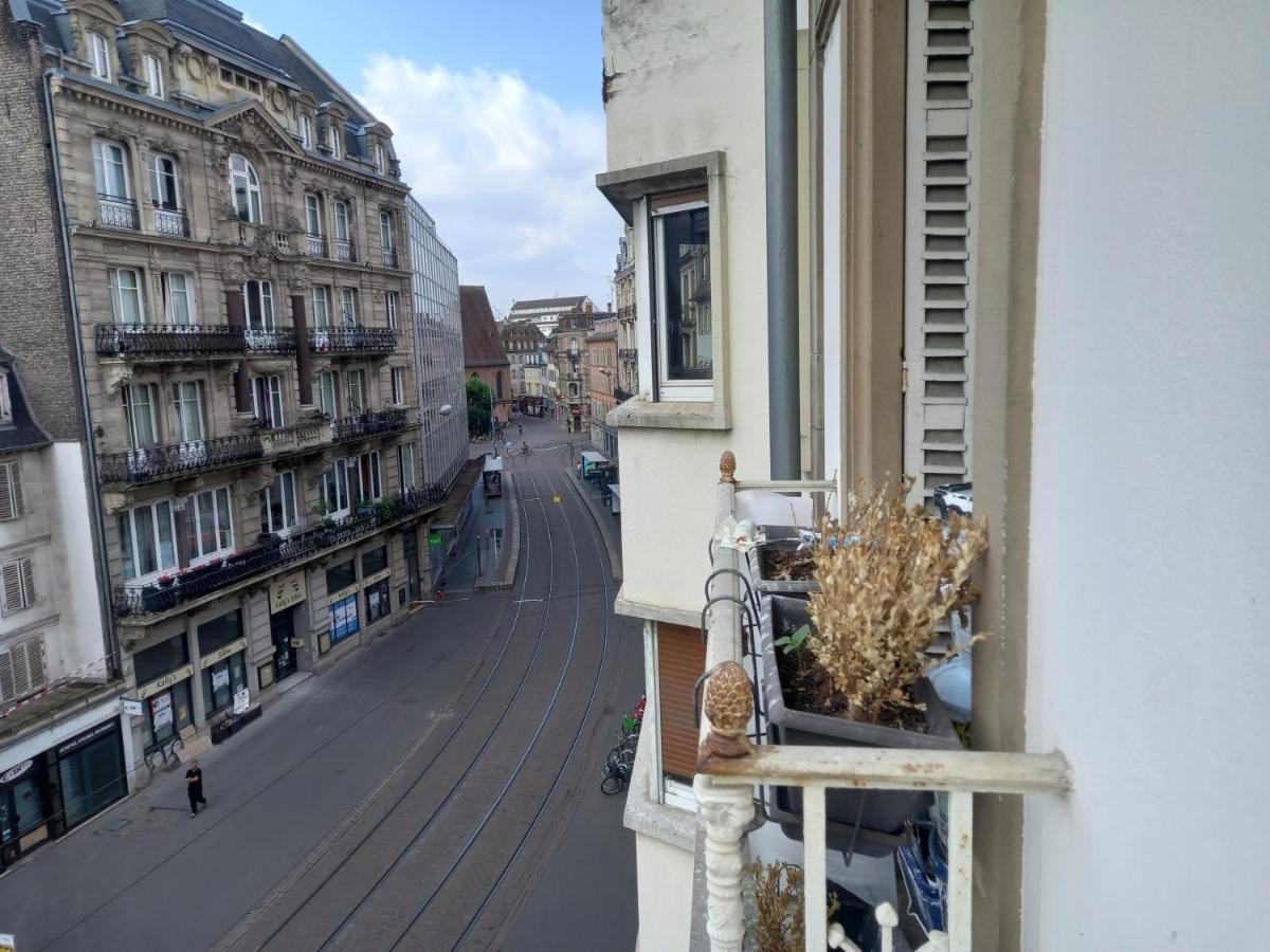 Grand Au Coeur De Appartement