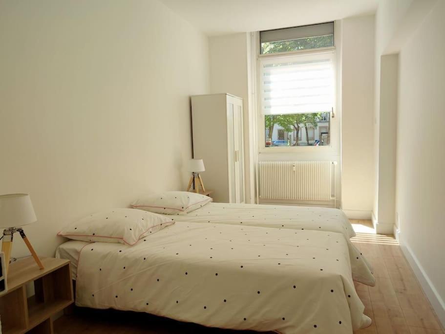 Centre Appartement Strasbourg