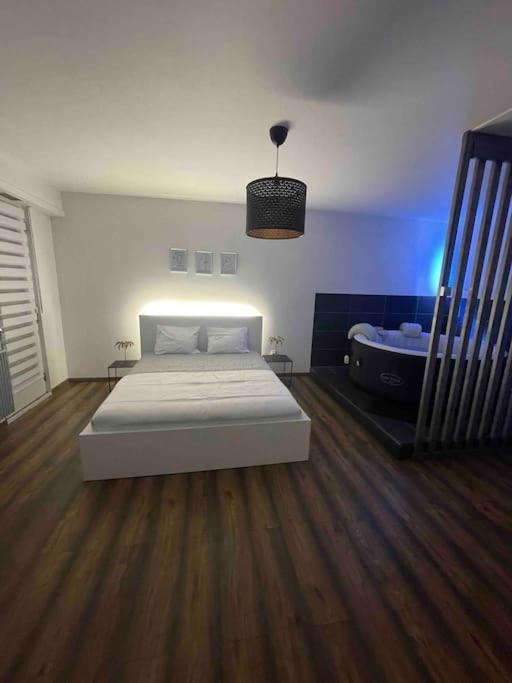 Grand Avec Jacuzzi * Strasbourg