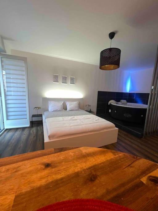 Grand Avec Jacuzzi * Strasbourg