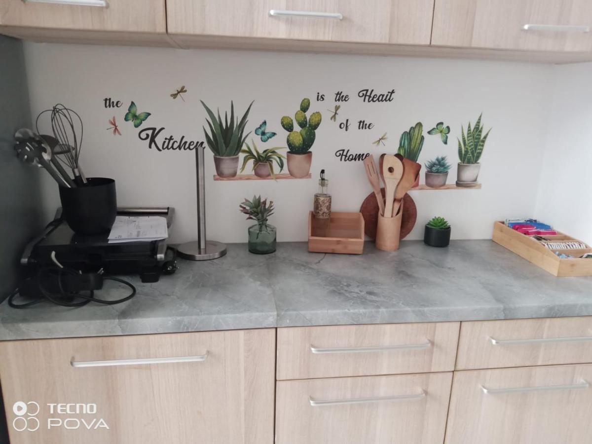 Appartement Grand Au Coeur De Strasbourg