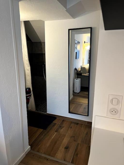 Avec Jardin Appartement Strasbourg