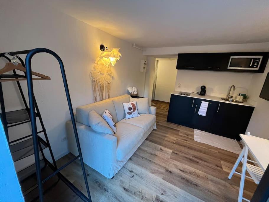 Appartement Avec Jardin Strasbourg