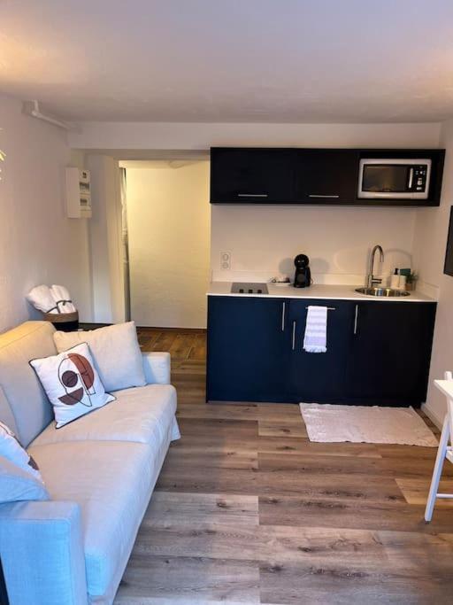 Avec Jardin Appartement *
