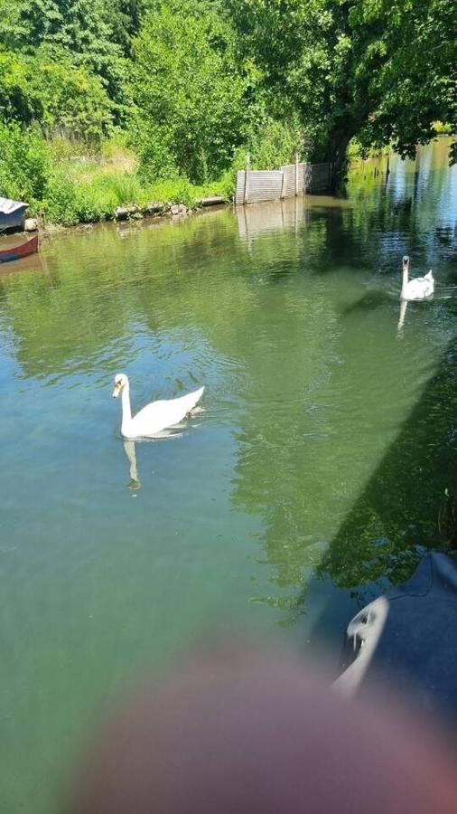 Botel Au Fils De L'eau *