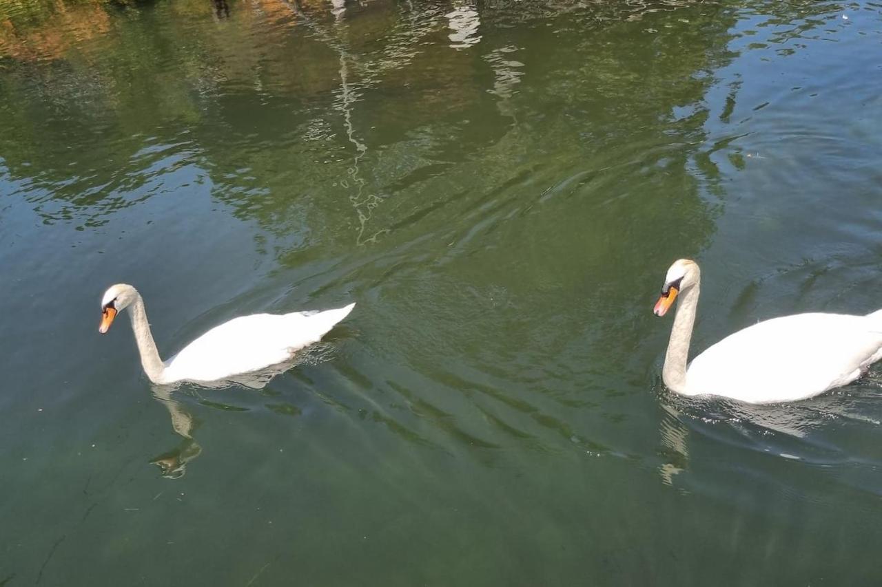 Au Fils De L'eau Straßburg