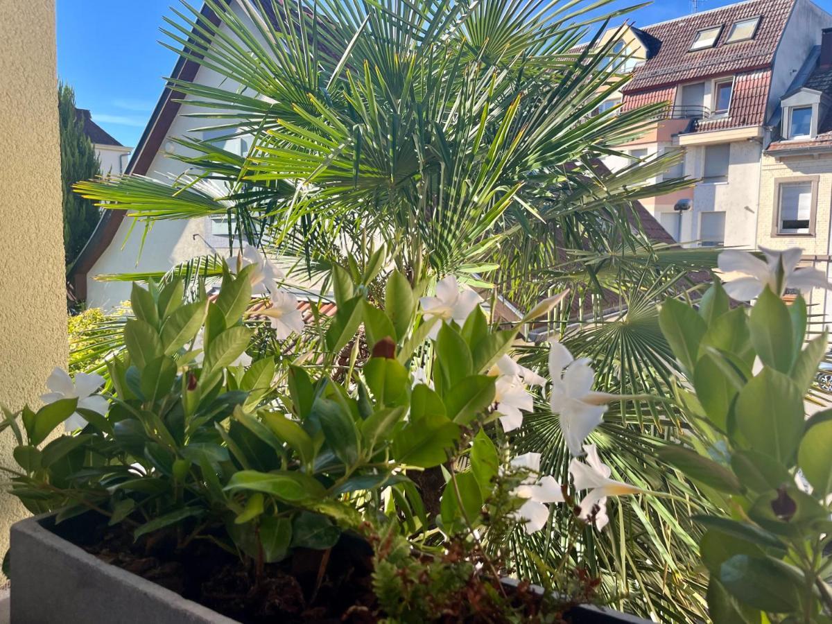 Les Maraichers * Strasbourg