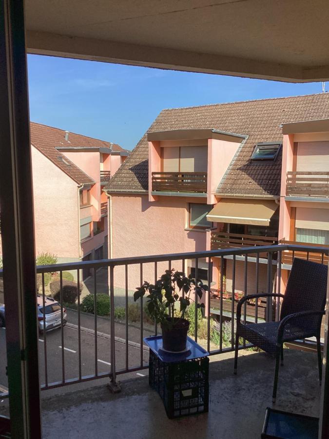 Apartment Cosy 3 Rue Des Ormes Ostwald 67540 *