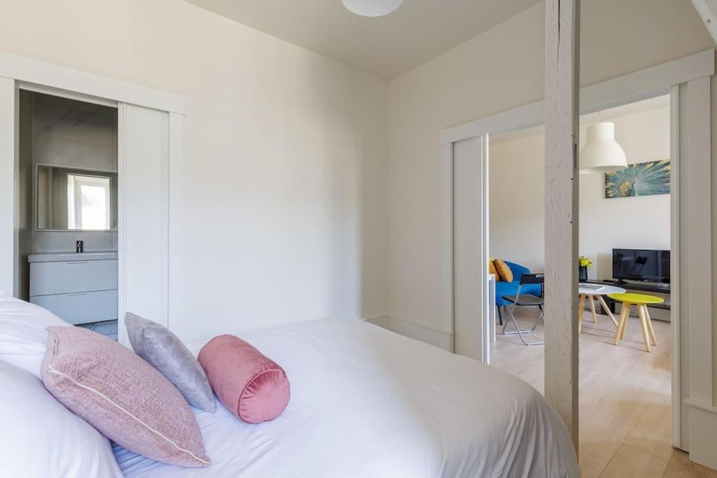 Tres Bel Appartement Strasbourg