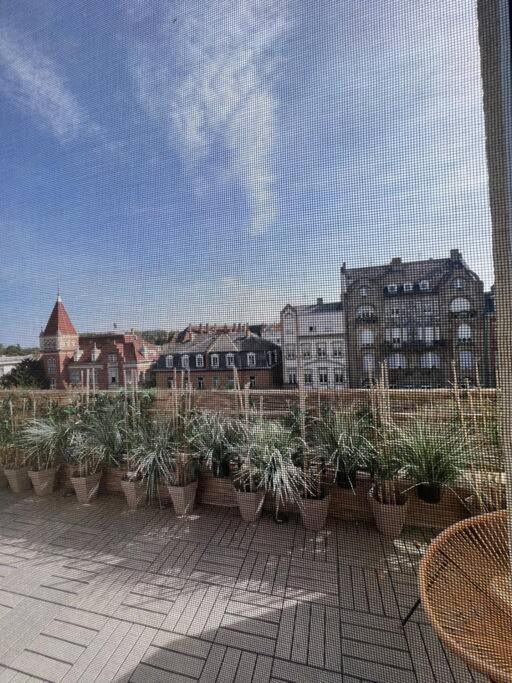 Appartement Cosy Orangerie Straatsburg