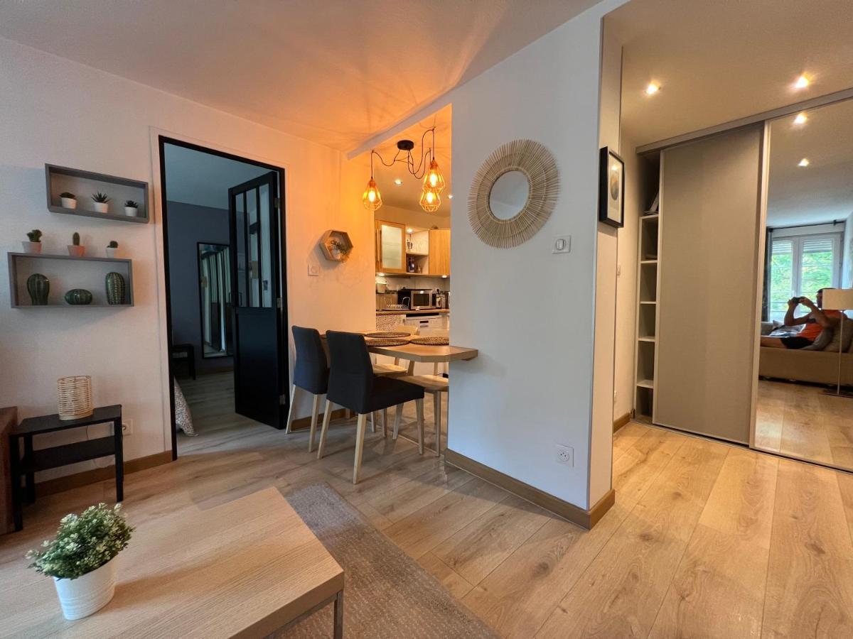 Appartement Confort Proche Gare Et Centre Straatsburg
