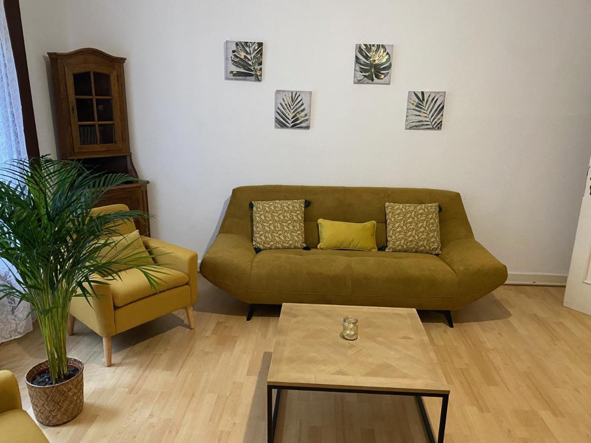 Grand Au Centre Apartment Straßburg