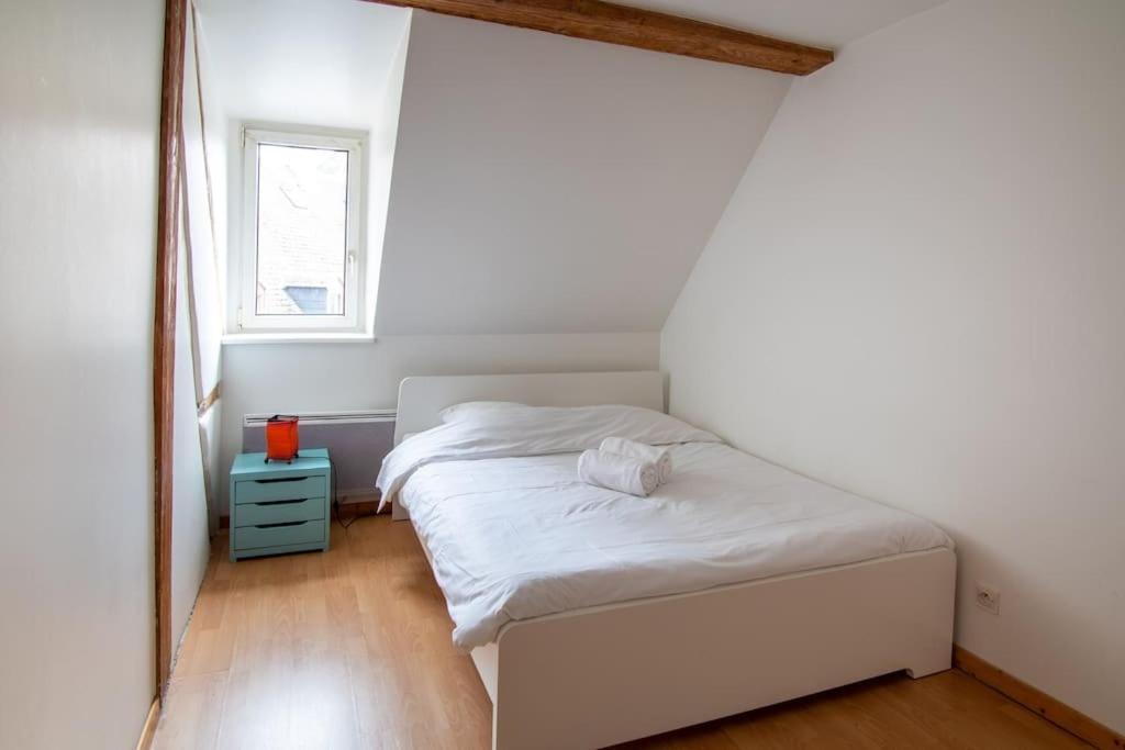 Le Molsheim - Grand Proche Musee Dart Moderne Apartment