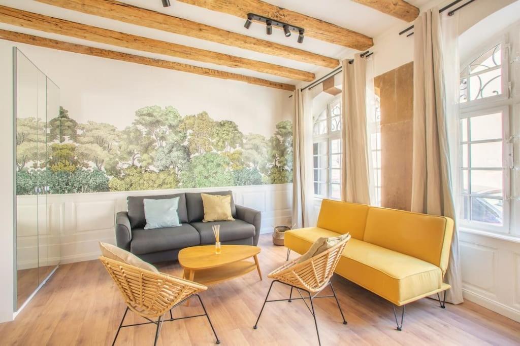 Appartement La Halte Strasbourgeoise - Superbe Appt Pres De La Petite France