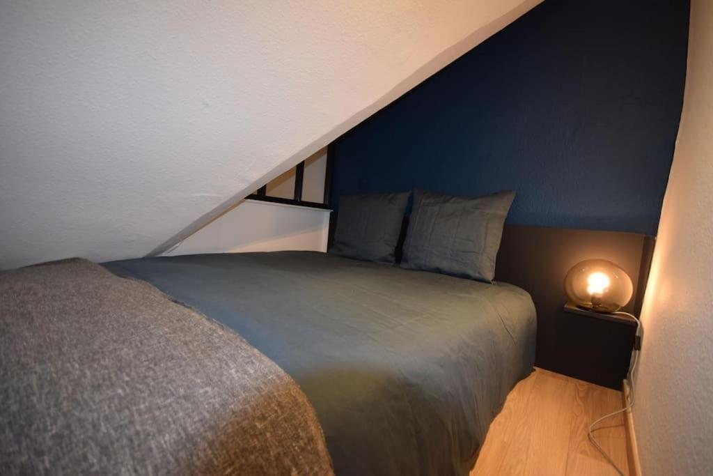 Le Du Quai Des Pecheurs - Duplex Sur Les Quais Apartment Straßburg