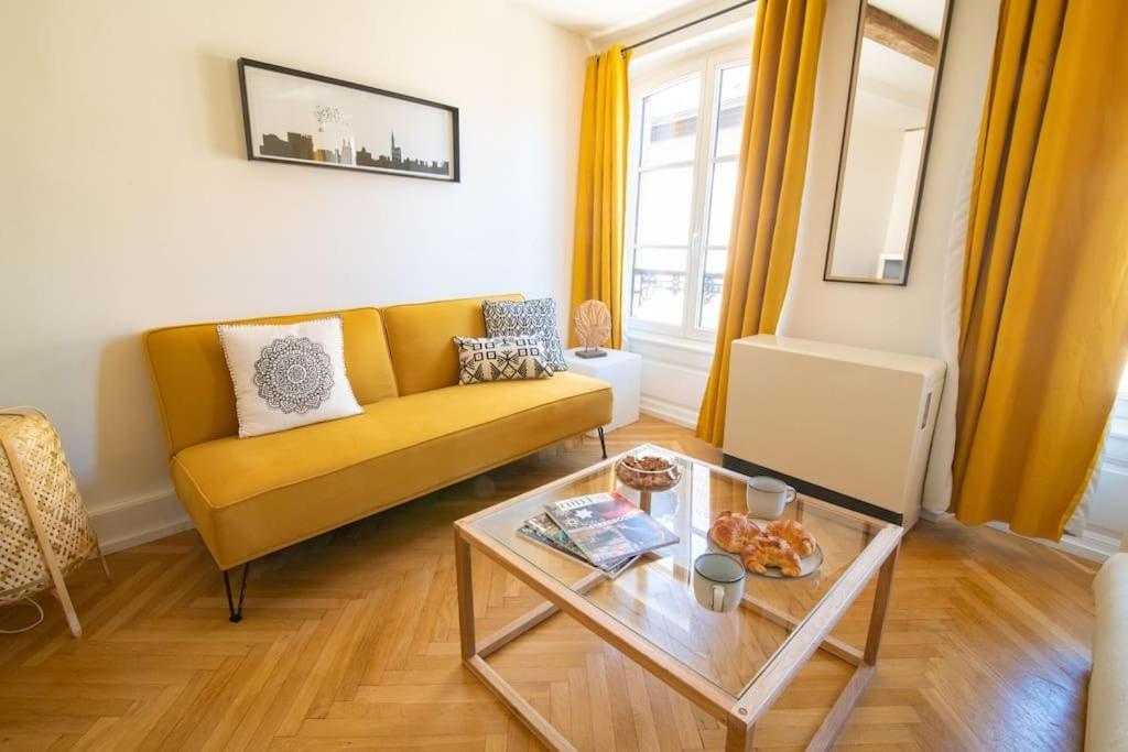 Splendide T3 Proche Petite France Dragon Strasbourg