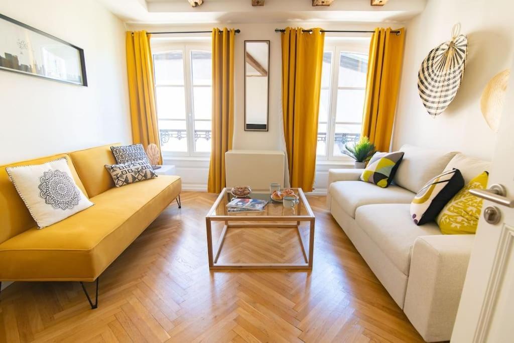 Appartement Splendide T3 Proche Petite France Dragon Strasbourg