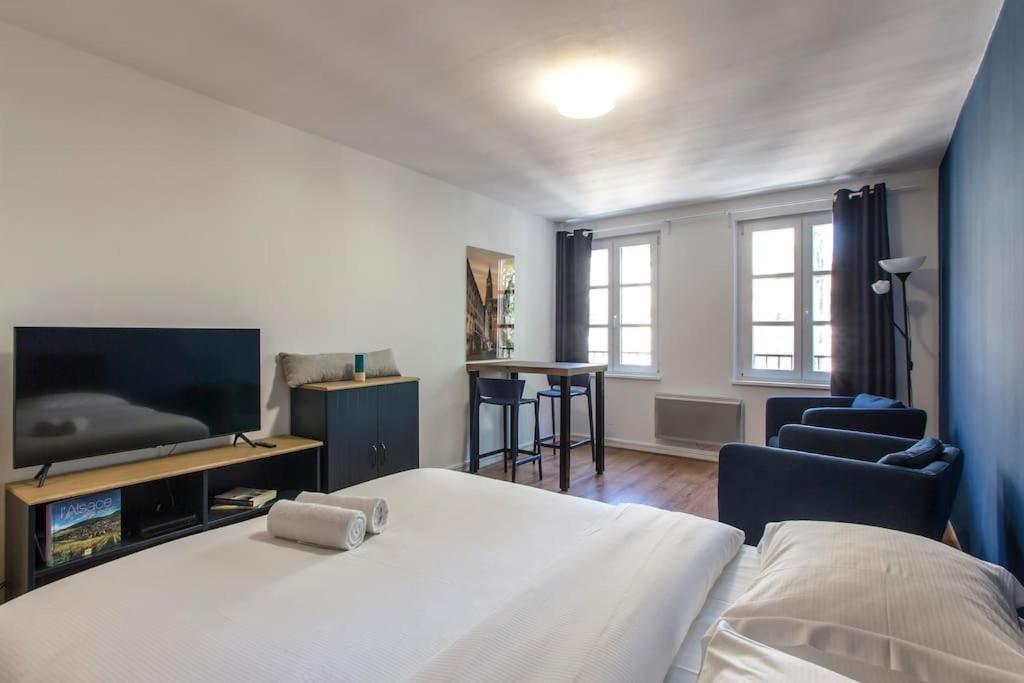 Le 52 Zix - Joli Au Coeur De La Petite France Appartement Strasbourg
