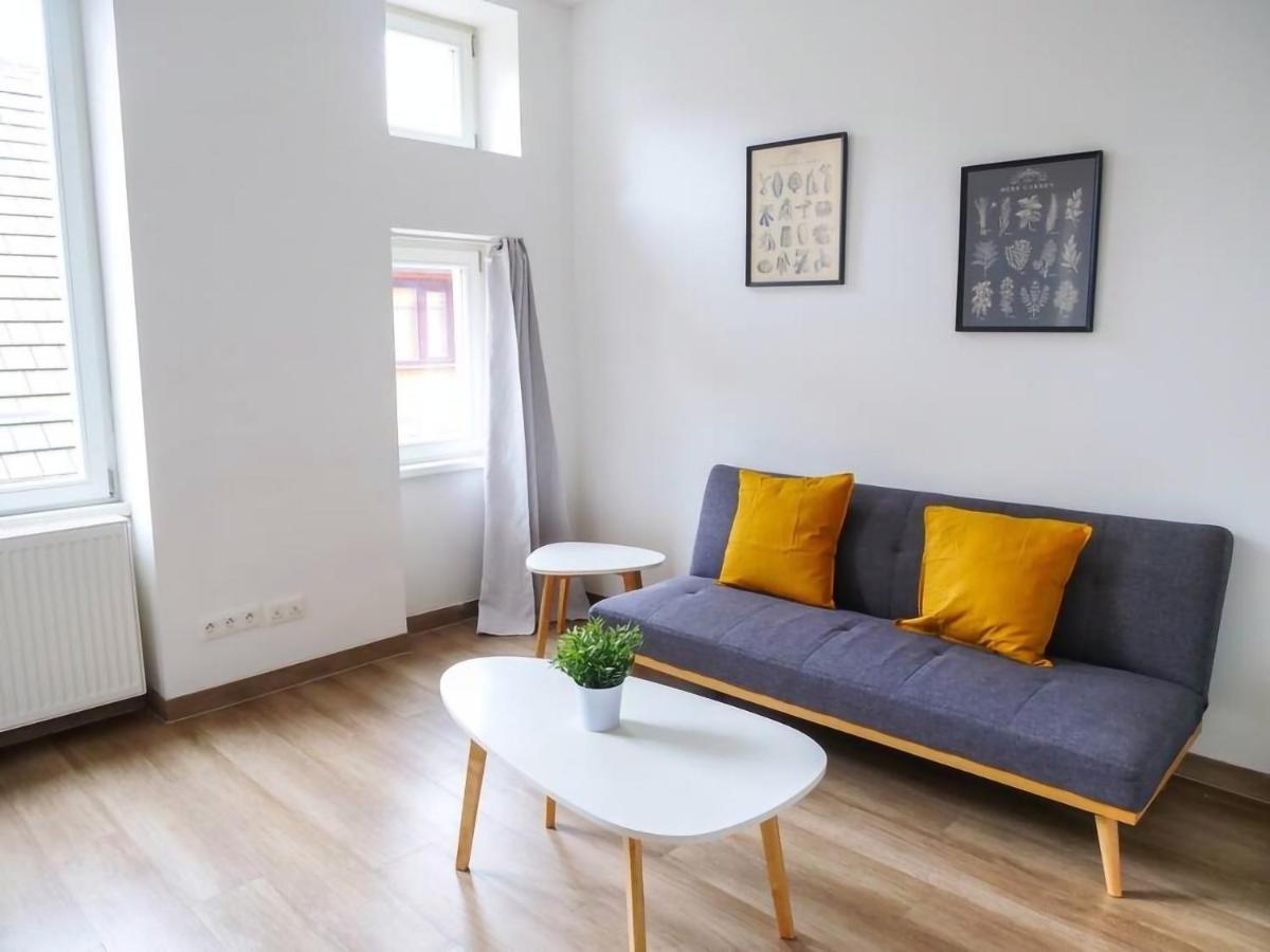 Apartment Thiergarten - T2 A Proximite De La Gare *