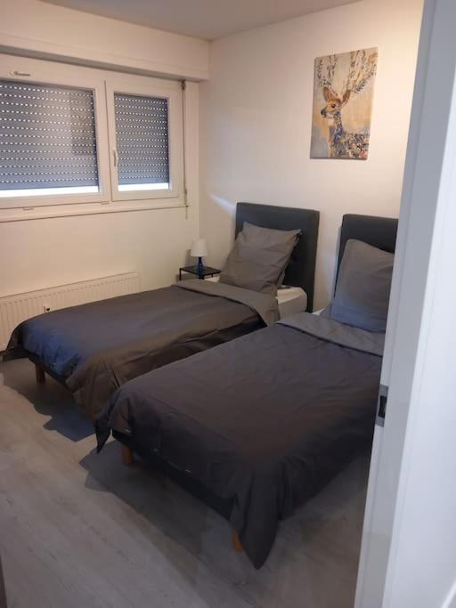 Appartement Super 6 Pers Centre-ville Ideal Strasbourg