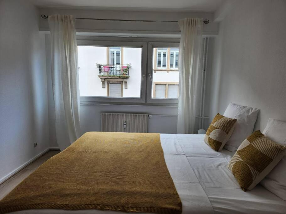 Appartement Familial/ Orangerie *