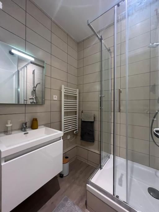 Le St-etienne - Cathedrale Apartment *