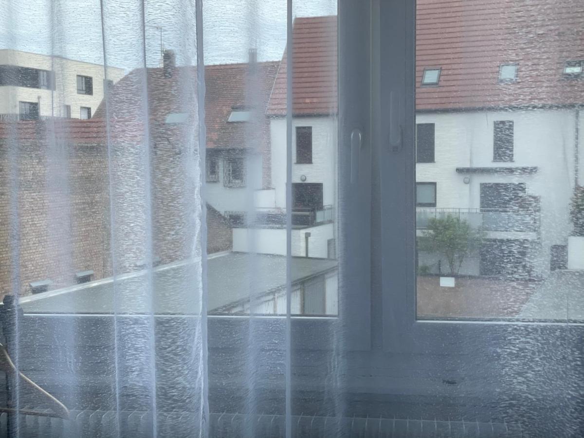Grand Proche Du Centre Apartment Straßburg