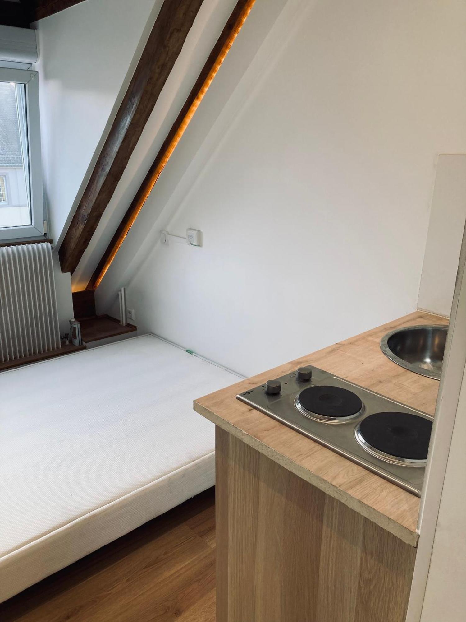 Quartier De L'orangerie Apartment Strasbourg