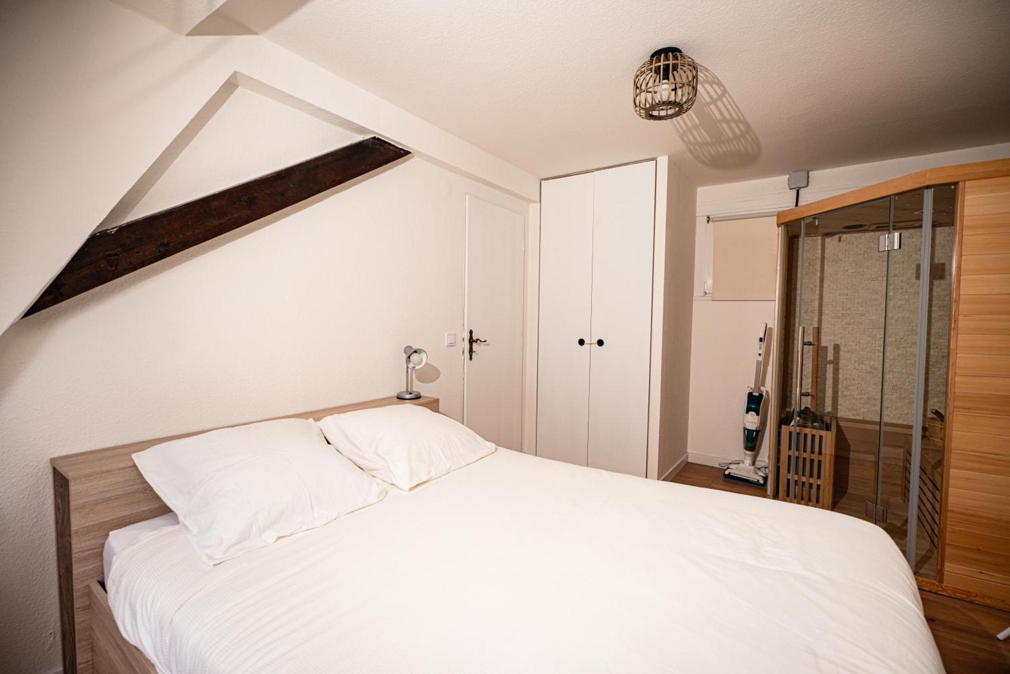 Appartement Moderne T2 Centre Sauna Wifi Office Netflix Strasbourg