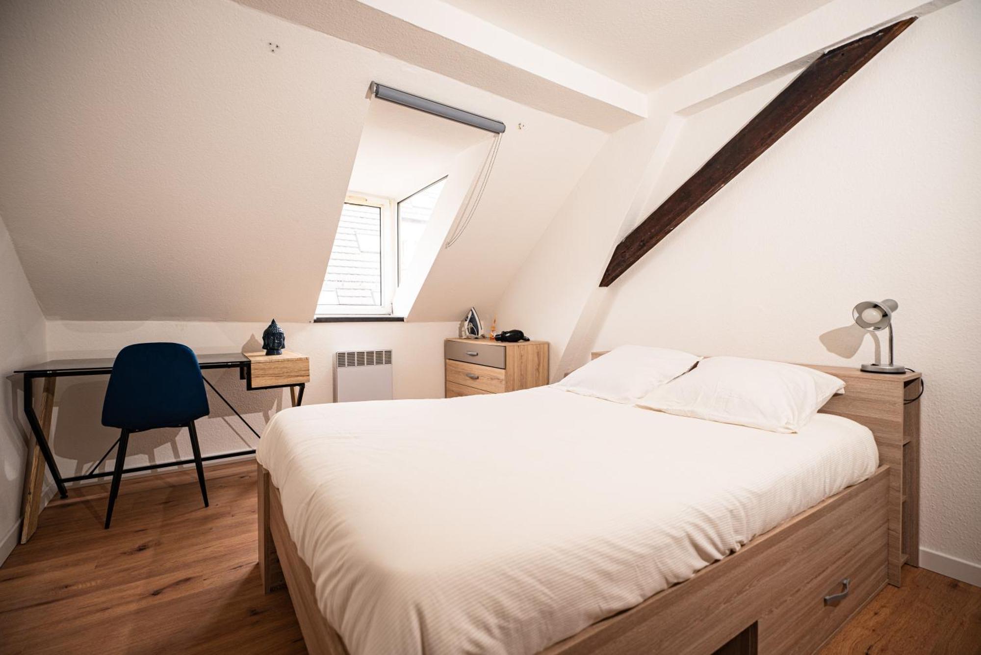Appartement Moderne T2 Centre Sauna Wifi Office Netflix Strasbourg