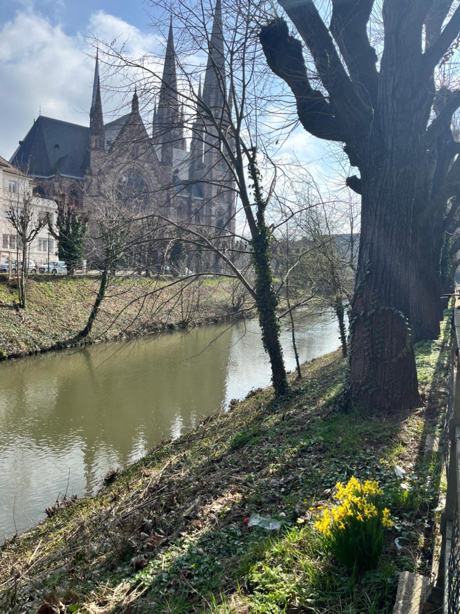 Appartement Le Petit Brooklyn Strasbourg