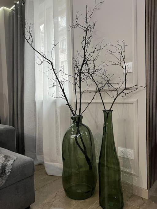 Appartement Luxueux Pres De La Cathedrale Strasbourg