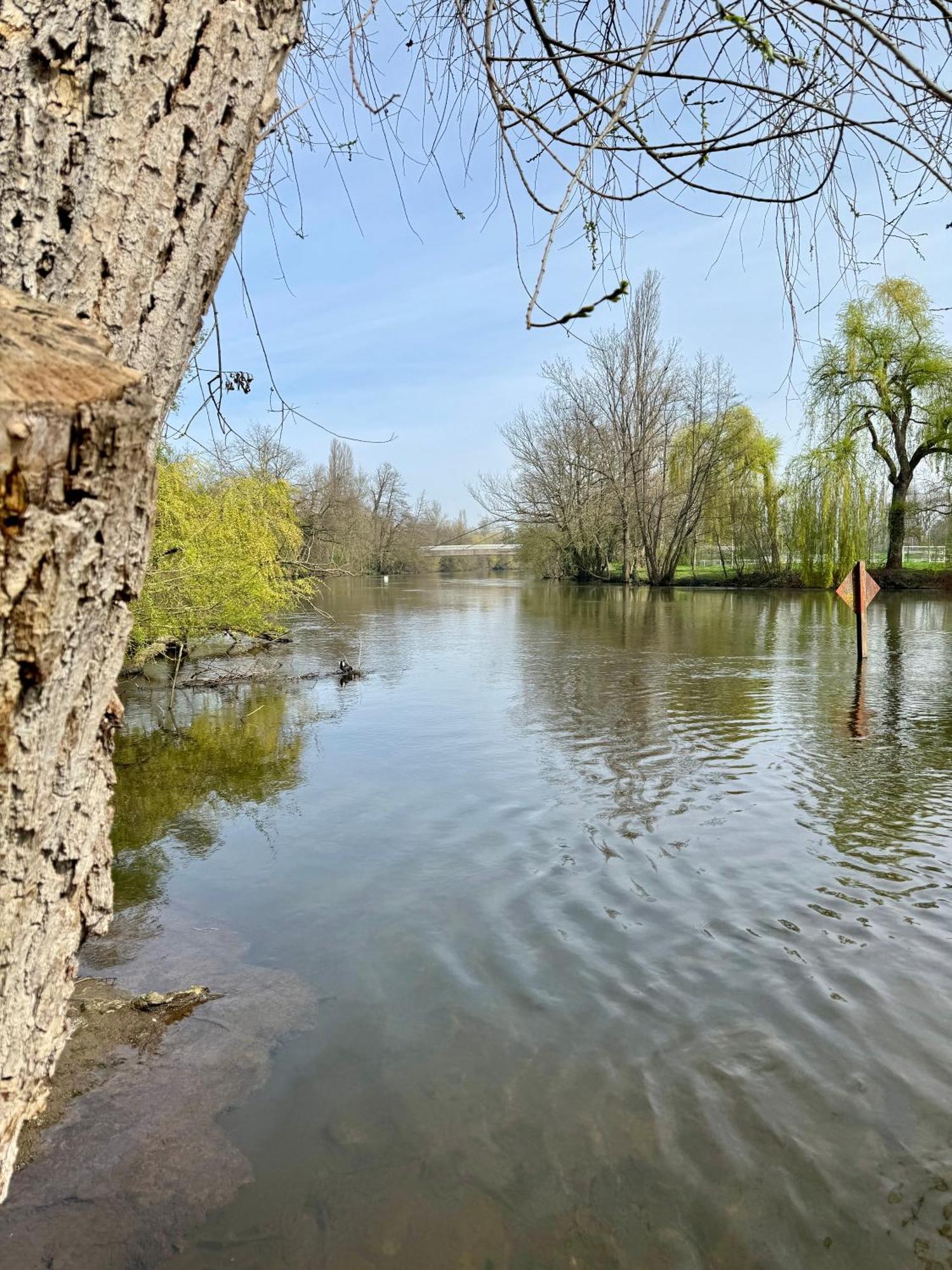 Strasbourg, Cosy Au Bord De L Eau Straßburg