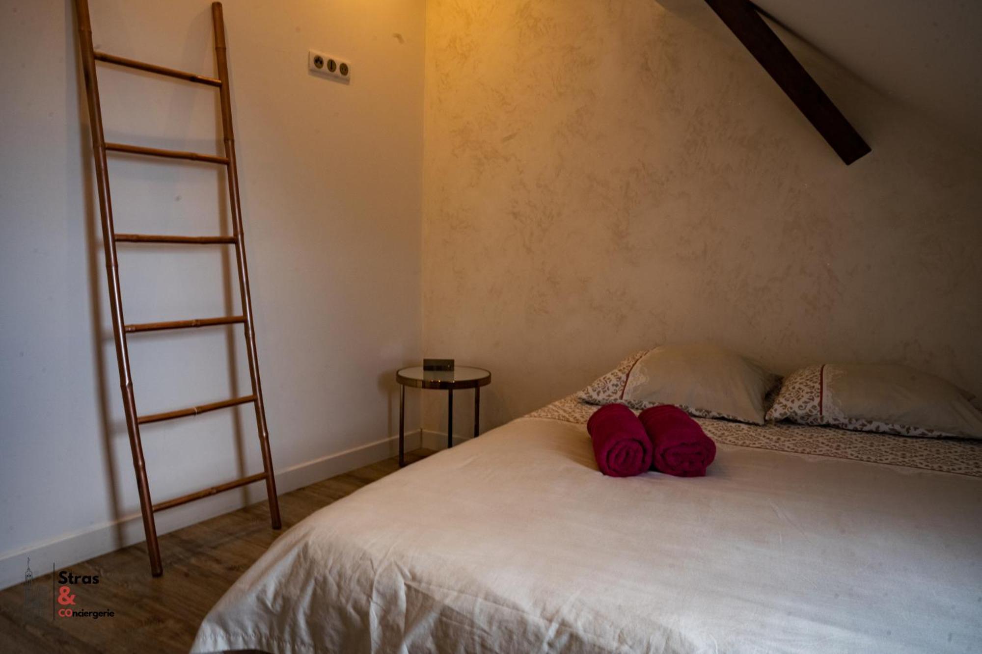 Apartment Belles Combles Alsaciennes Au Centre De Straßburg